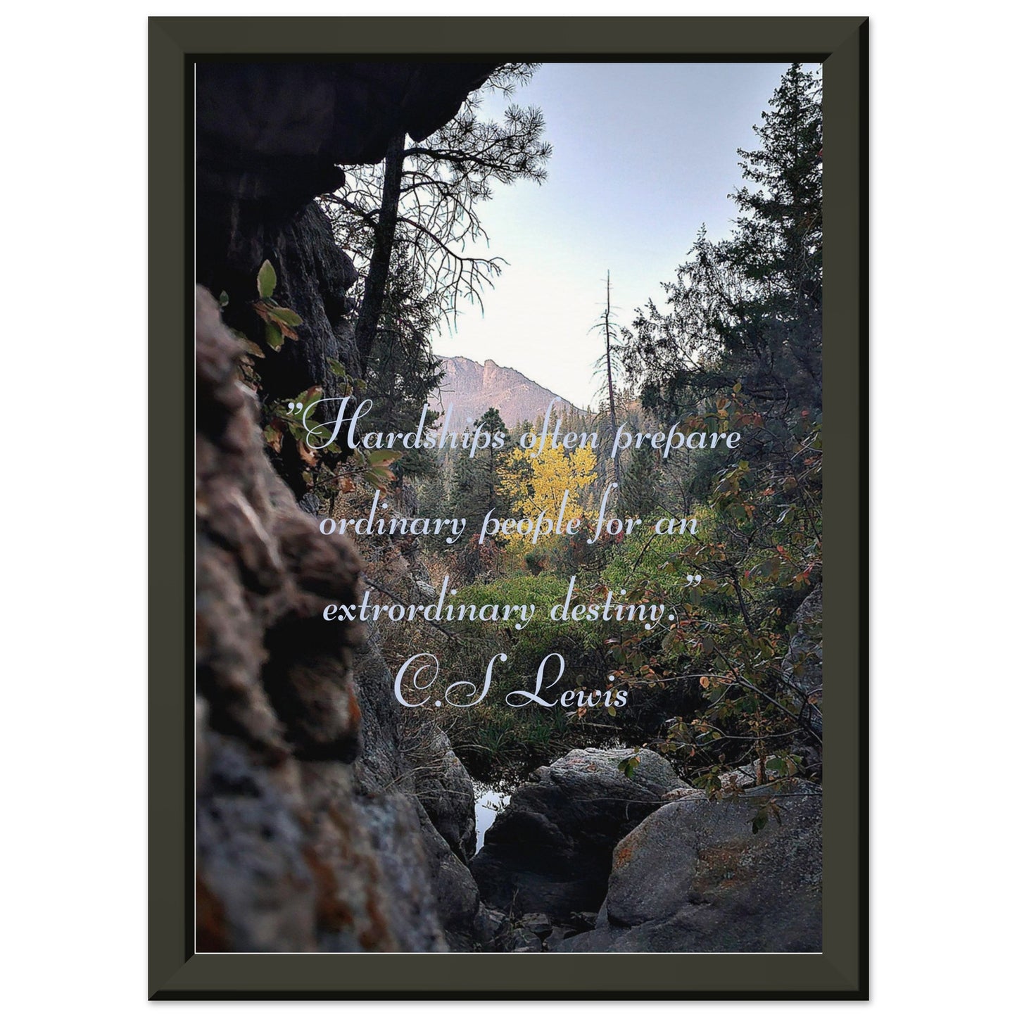 C.S Lweis quote wall art