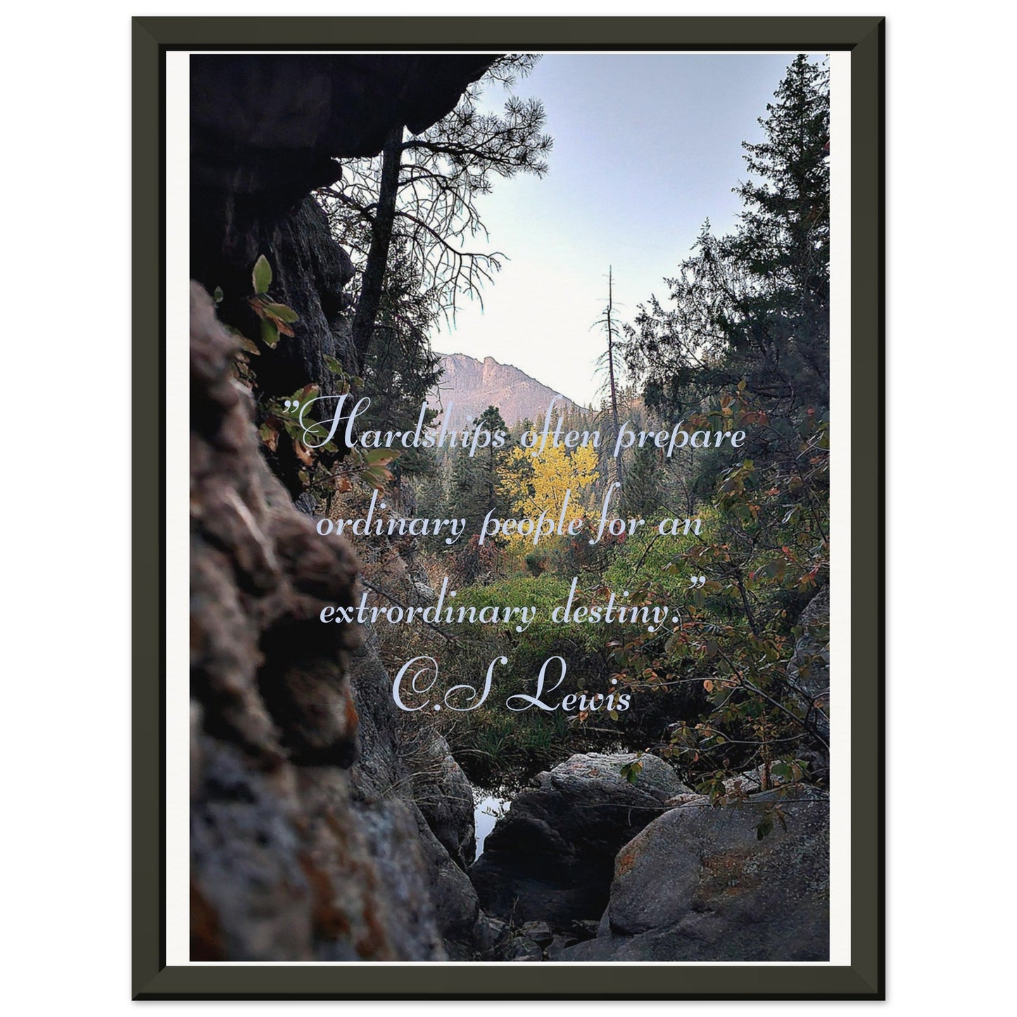 C.S Lweis quote wall art